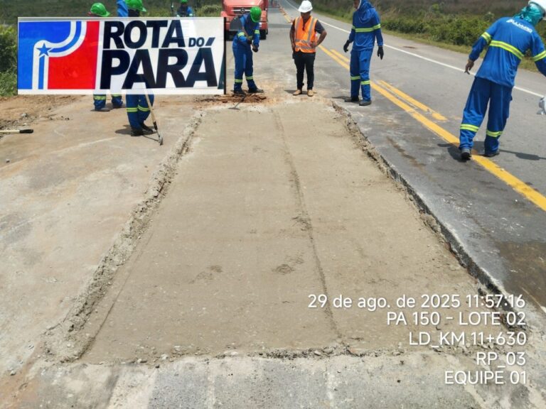 17646935-1916-47f3-8ba6-515f452640ae